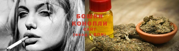 крисы Баксан