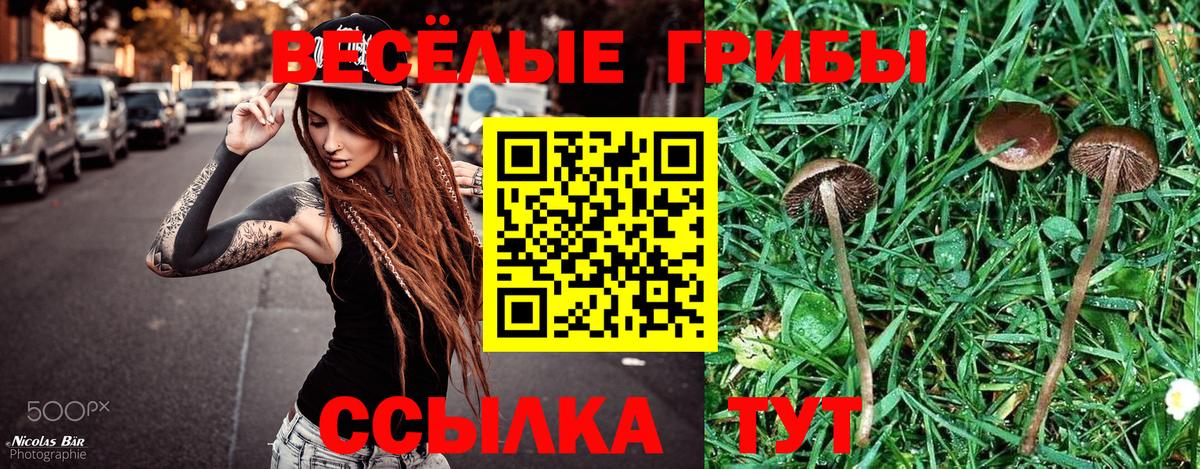 Галлюциногенные грибы мухоморы Всеволожск