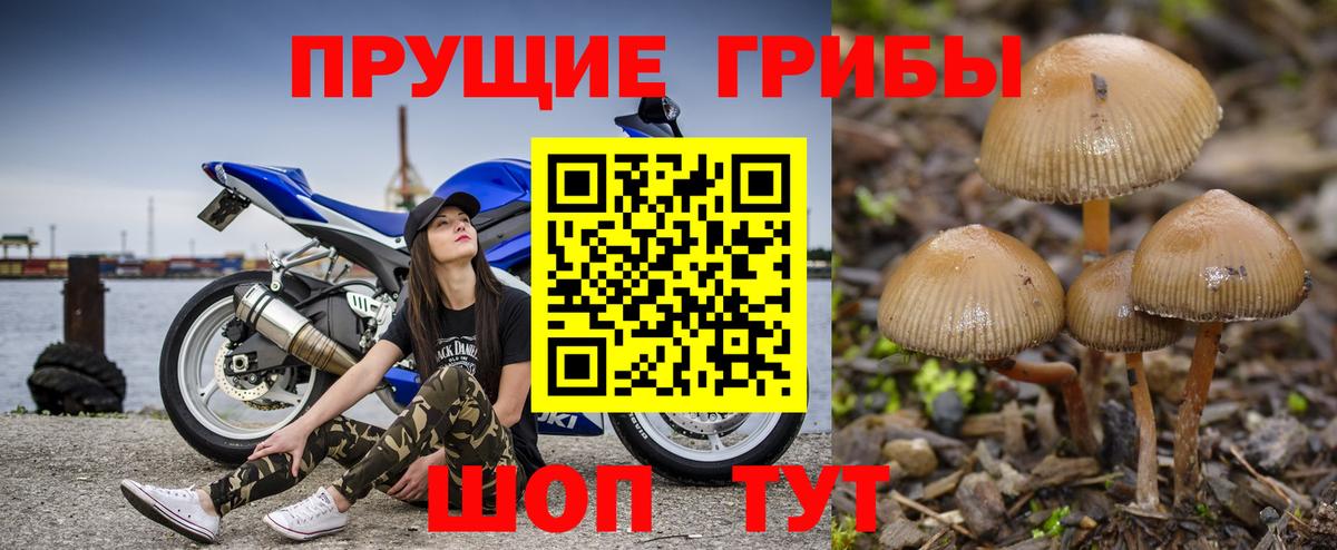 Галлюциногенные грибы мухоморы  Вход с VPN  Всеволожск  Галлюциногенные грибы Magic Shrooms 